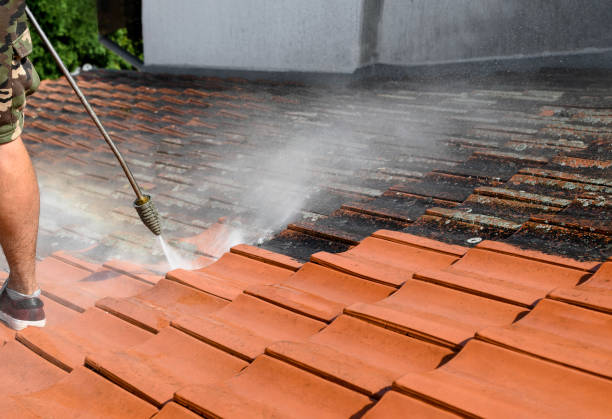 Best Residential Pressure Washing Services  in Youngsville, LA
